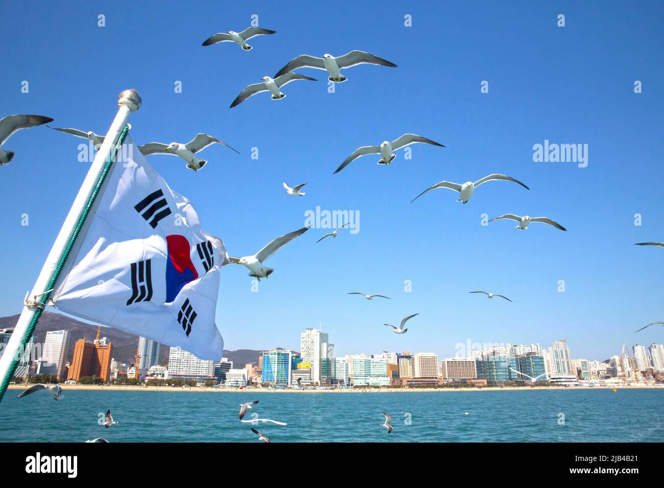 Drapeau Humoristique 90 X 150 Cm – Caca Mouettes – U24 Polyester