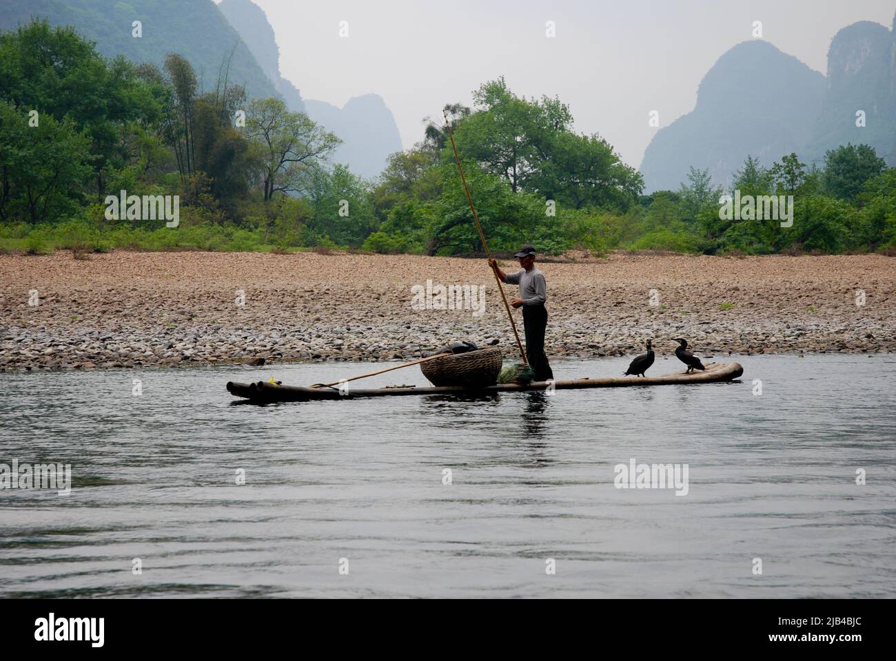 Le Cormorant fisherman et ses oiseaux sur la rivière Li à Yangshuo, Guangxi, Chine Banque D'Images