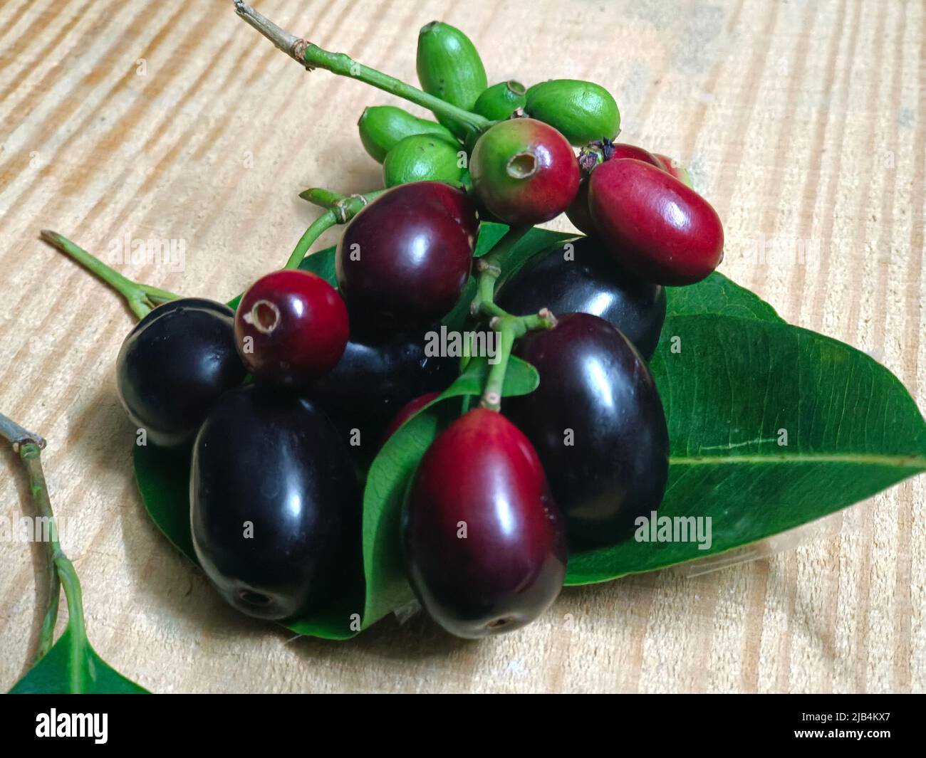 Prune Jambolan fraîche ou prune Java (Syzygium cumini) avec feuille sur table en bois. Banque D'Images