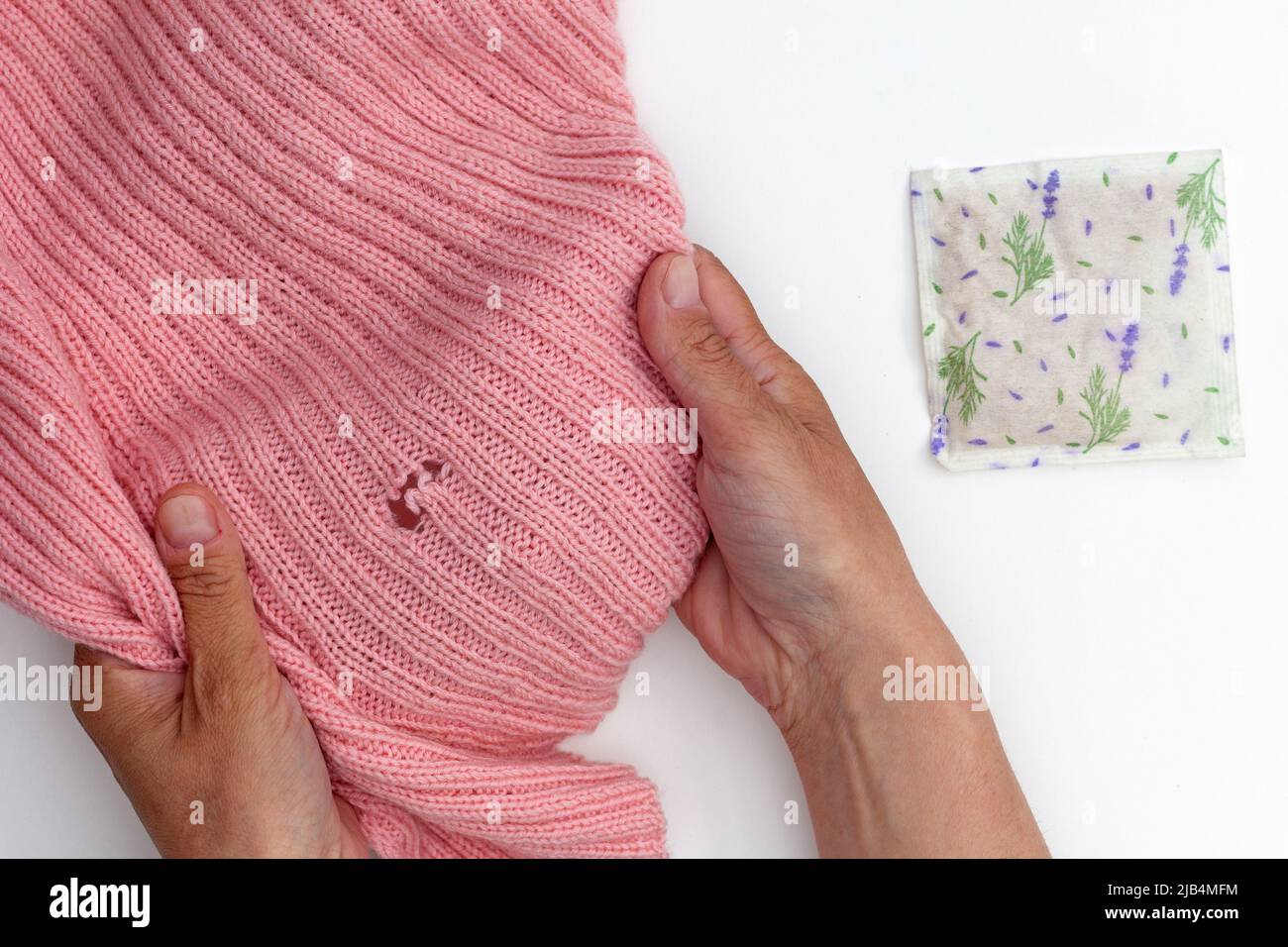 Vue du dessus de la femme courte mains tenant le tissu de laine rose avec trou fait par papillon et sac avec lavande séchée sur fond blanc Banque D'Images