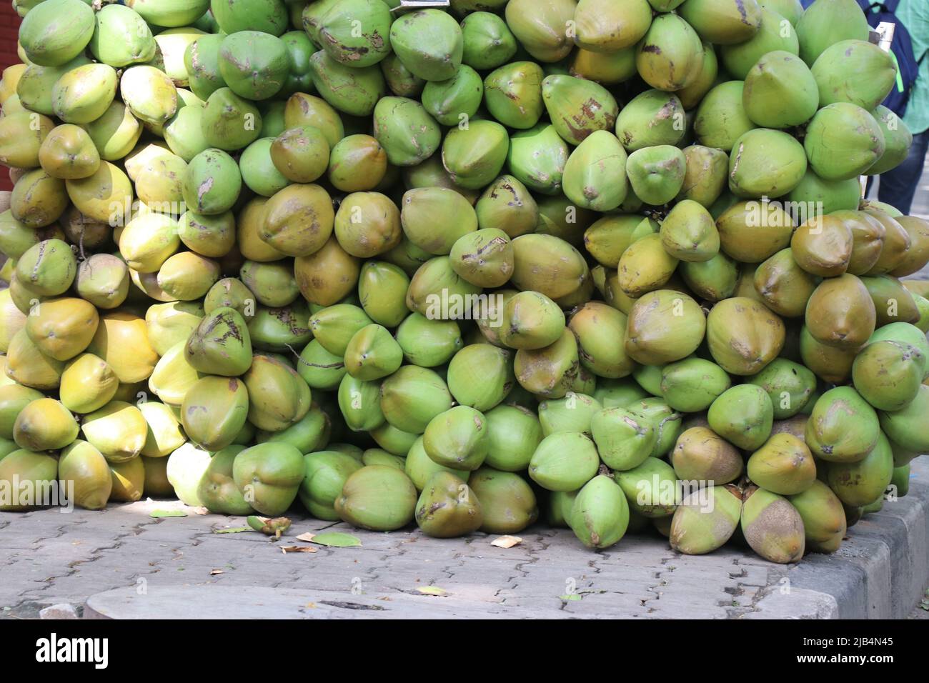 Un grand groupe de noix de coco tendres juteuses à vendre, pile de noix de coco jeunes et fraîches gardées pour la vente Banque D'Images