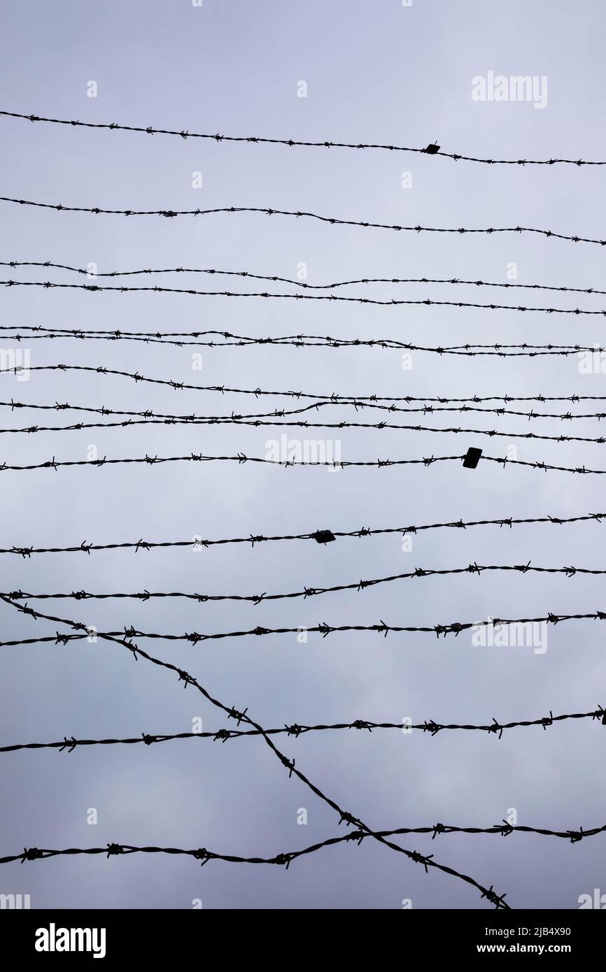 Clôture barbelée au Mémorial du Rideau de fer au poste-frontière de Guglwald, région de Muehlviertel, haute-Autriche, Autriche Banque D'Images