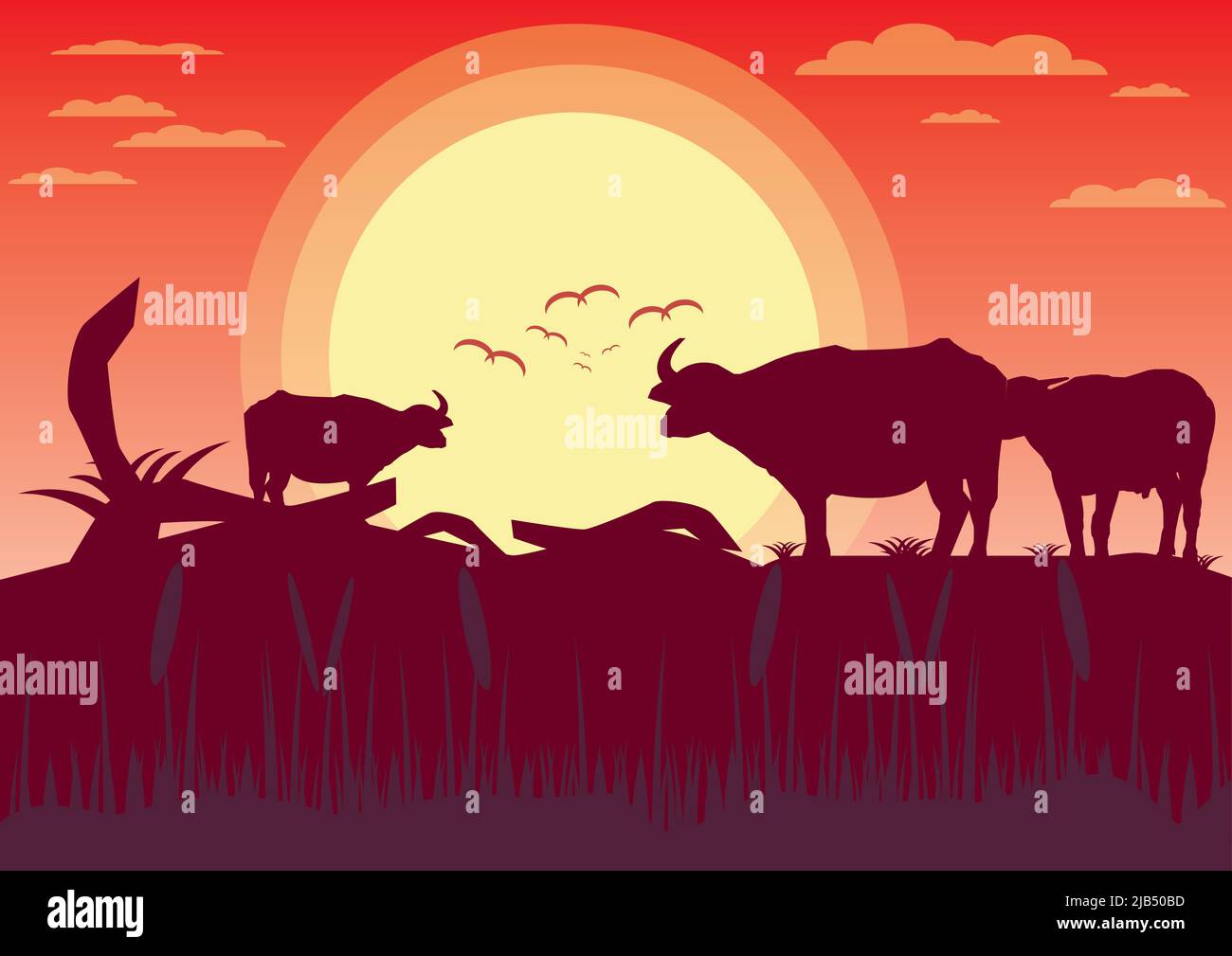 Buffalo coucher de soleil soir et prairie prairie paysage.vecteur illustrateur Illustration de Vecteur