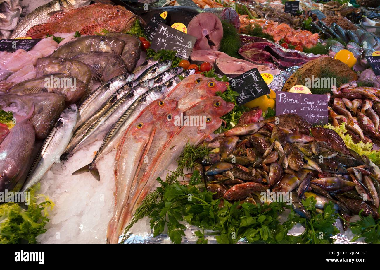 Poissons et fruits de mer frais, gurnard, maquereau, marché, marché hebdomadaire, AIX-en-Provence, Bouches-du-Rhône, Provence-Alpes-Côte d'Azur, France Banque D'Images