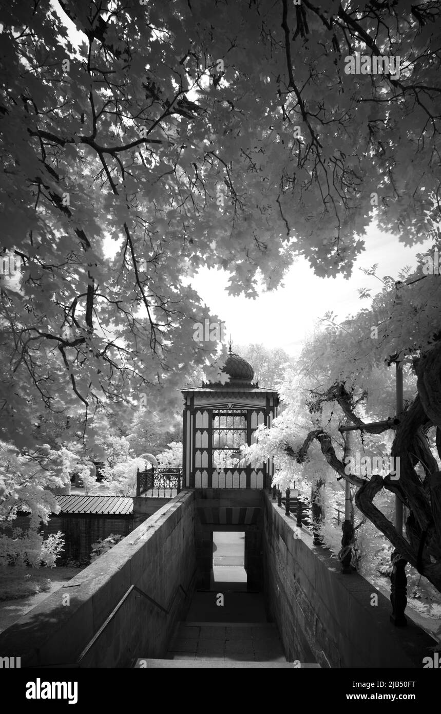 Escalier de style mauresque, jardin mauresque, image infrarouge, Wiilhelma, jardin zoologique et botanique, Stuttgart, Bade-Wurtemberg, Allemagne Banque D'Images