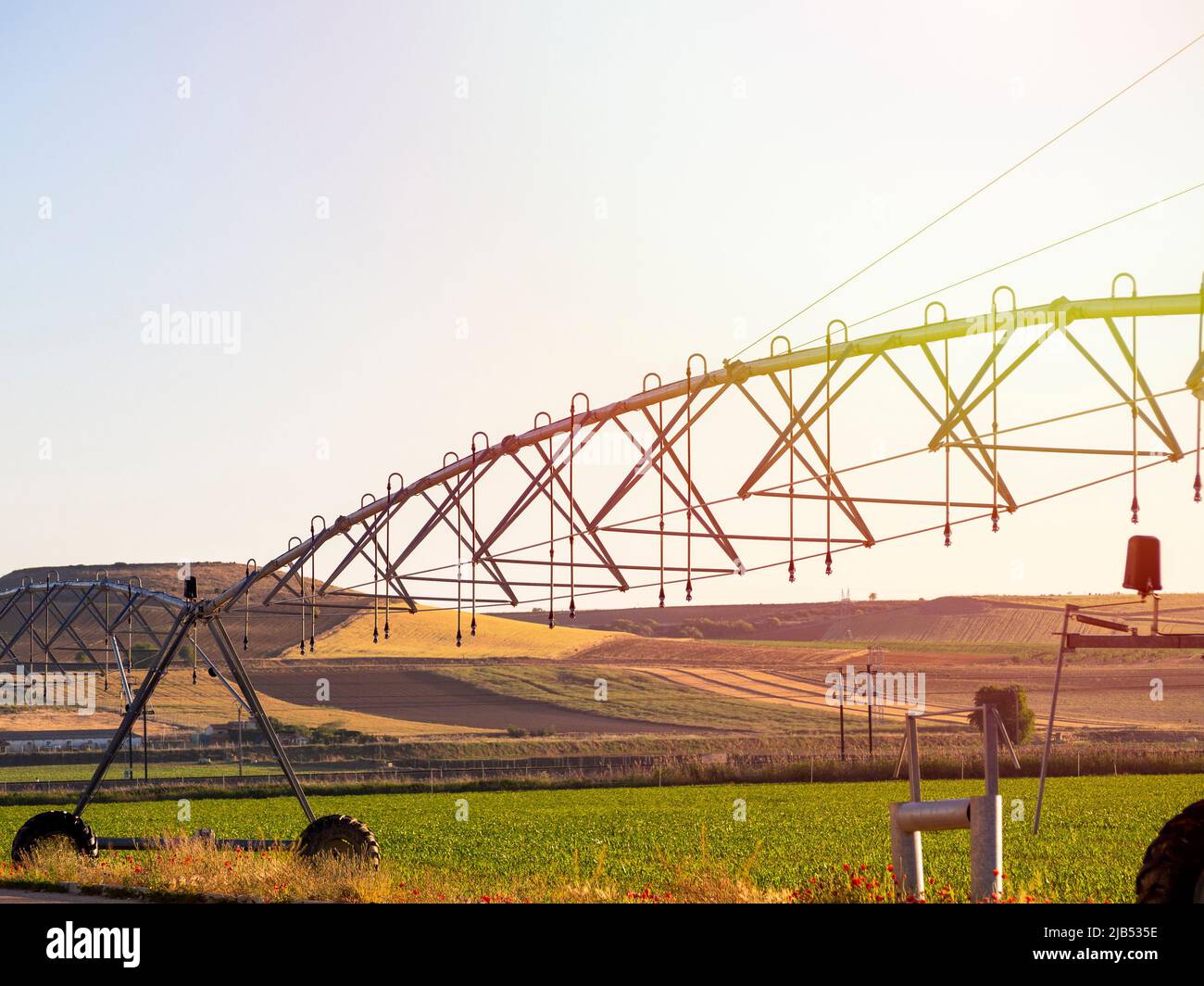 Système d'irrigation dans les plantes agricoles de semis écologiques Banque D'Images