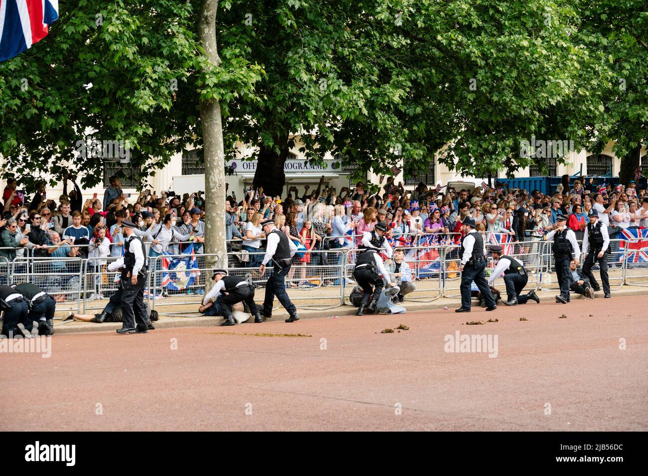 Londres, Royaume-Uni. 2 juin 2022. Les activistes de la rébellion animale ont perturbé l'événement « Trooping the Color » Banque D'Images