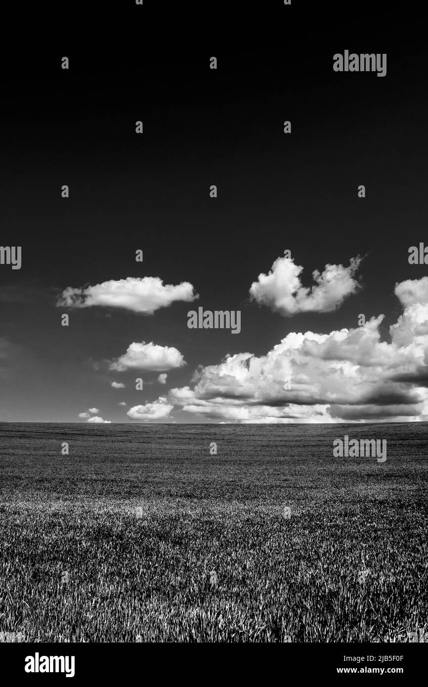 Ciel bleu clair avec des nuages dispersés au-dessus d'une prairie verte pendant une journée ensoleillée, France Banque D'Images