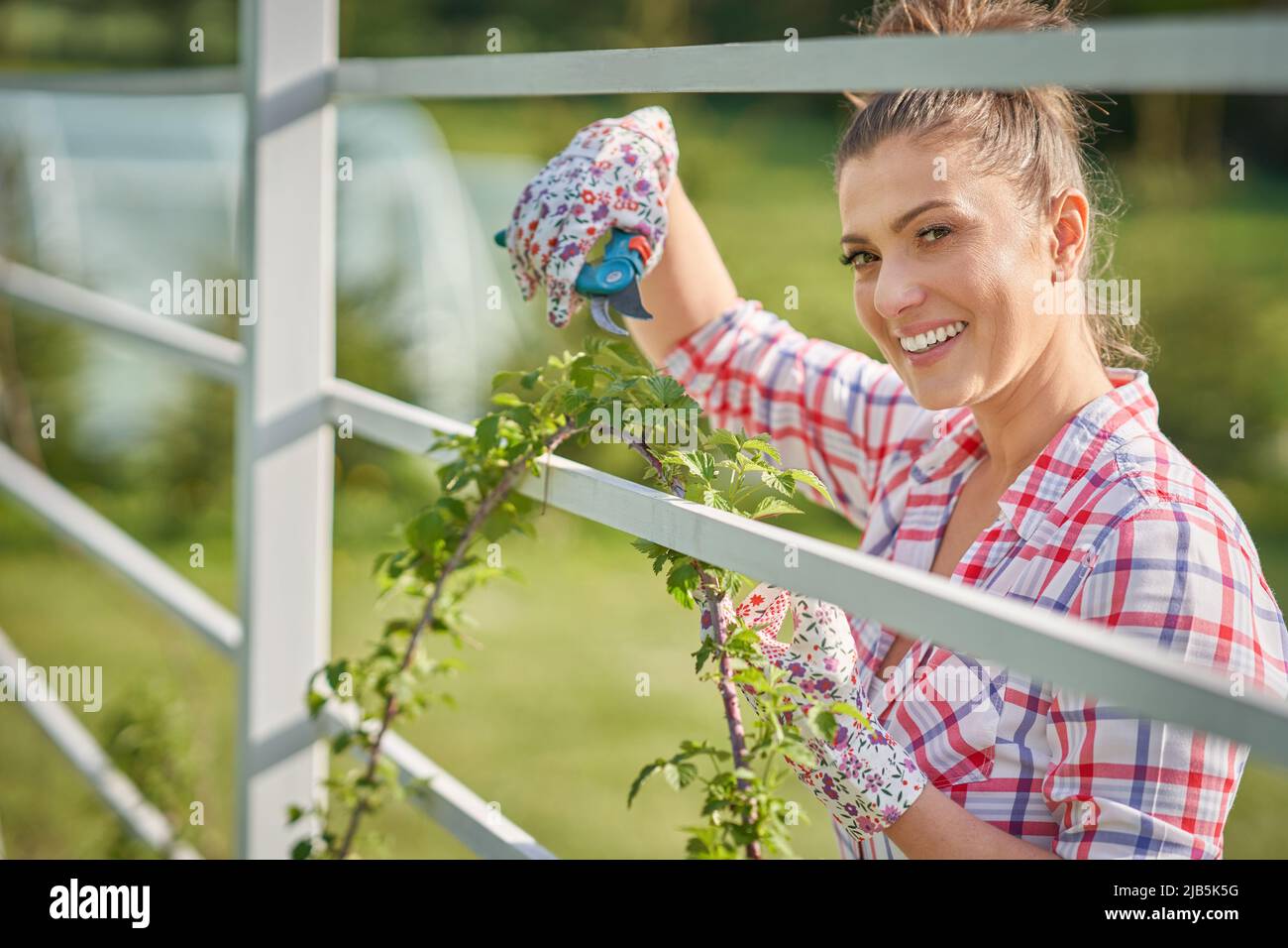 Femme prendre soin des plantes dans le jardin Banque D'Images