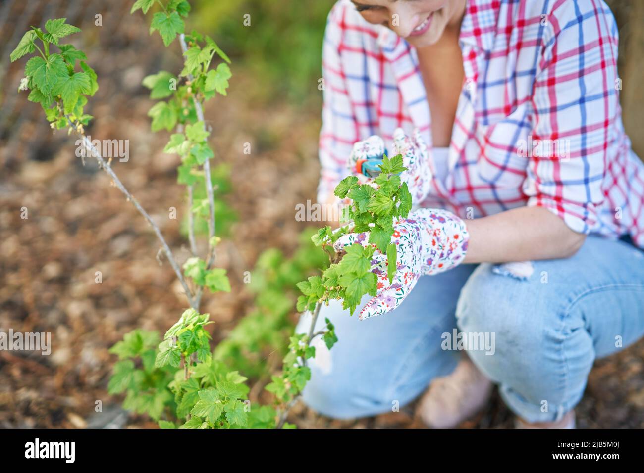 Femme prendre soin des plantes dans le jardin Banque D'Images