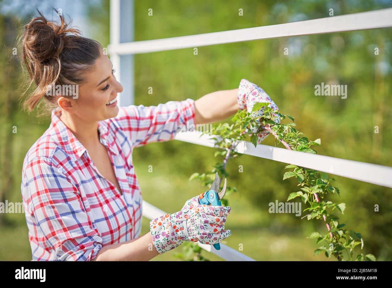 Femme prendre soin des plantes dans le jardin Banque D'Images