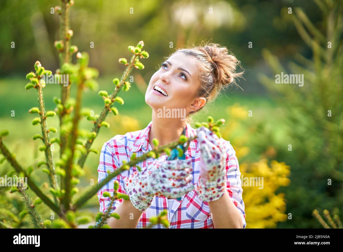 Femme prendre soin des plantes dans le jardin Banque D'Images