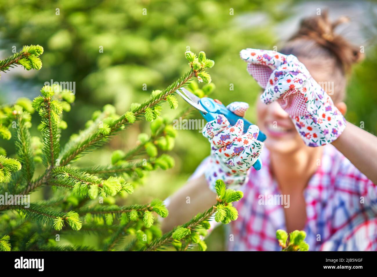 Femme prendre soin des plantes dans le jardin Banque D'Images