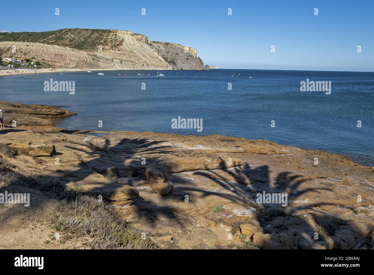 Vue panoramique sur les palmiers de la plage de praia da Luz, Algarve, Portugal Banque D'Images