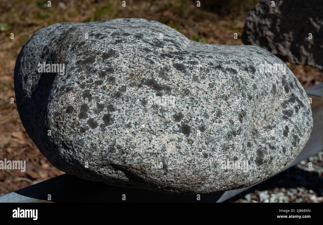 Diorite au Musée de l'Université de l'Arctique de Norvège à Tromsø. La diorite est formée par le refroidissement lent souterrain du magma (roche en fusion). Banque D'Images