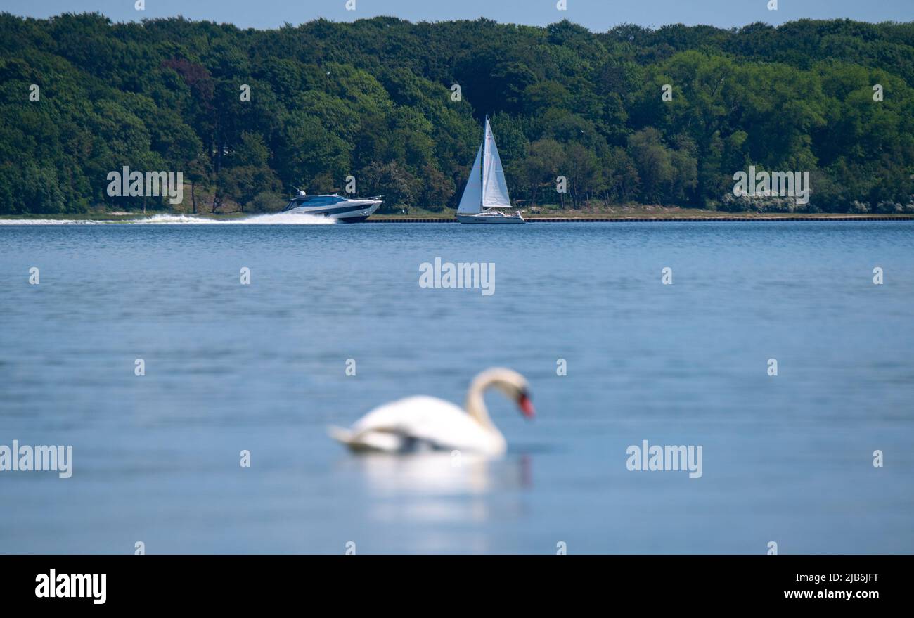 Stralsund, Allemagne. 03rd juin 2022. Des bateaux naviguent sur l'eau dans le Strrelasund par temps ensoleillé. Le Strrelasund sépare l'île de Rügen du continent à Stralsund. L'eau de baignade sur les côtes et les lacs de Mecklembourg-Poméranie-Occidentale est principalement d'excellente qualité. C'est le résultat du rapport annuel sur les eaux de baignade de l'Agence européenne pour l'environnement et de la Commission européenne. Dans des cas isolés, les zones de baignade dans le Mecklembourg-Poméranie occidentale ont également reçu le grade 'bon' ou 'sufficient'. Credit: Stefan Sauer/dpa/Alay Live News Banque D'Images