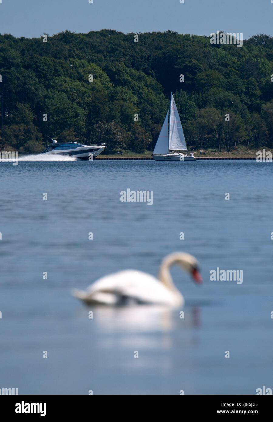 Stralsund, Allemagne. 03rd juin 2022. Des bateaux naviguent sur l'eau dans le Strrelasund par temps ensoleillé. Le Strrelasund sépare l'île de Rügen du continent à Stralsund. L'eau de baignade sur les côtes et les lacs de Mecklembourg-Poméranie-Occidentale est principalement d'excellente qualité. C'est le résultat du rapport annuel sur les eaux de baignade de l'Agence européenne pour l'environnement et de la Commission européenne. Dans des cas isolés, les zones de baignade dans le Mecklembourg-Poméranie occidentale ont également reçu le grade 'bon' ou 'sufficient'. Credit: Stefan Sauer/dpa/Alay Live News Banque D'Images
