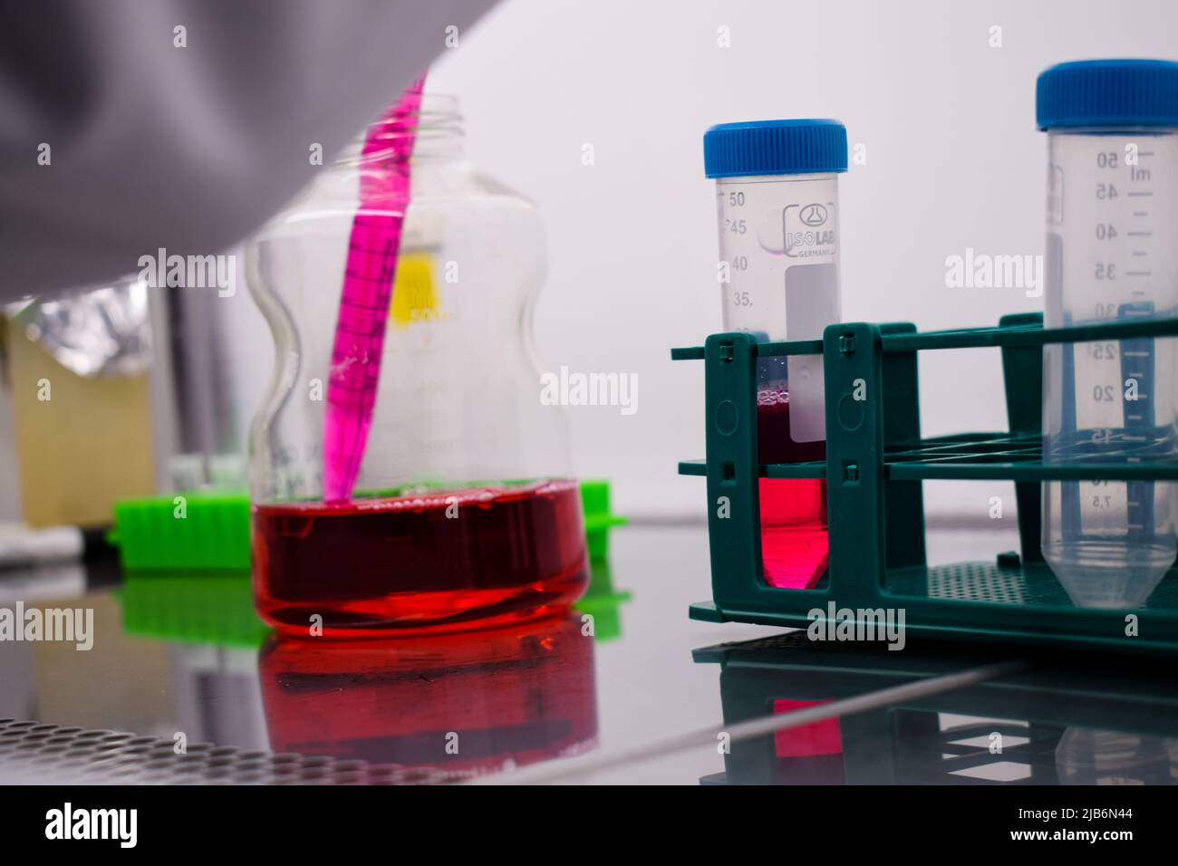 Le chercheur place un milieu de culture cellulaire avec une macro pipette à l'intérieur de la cabine avec filtres hepa. Banque D'Images