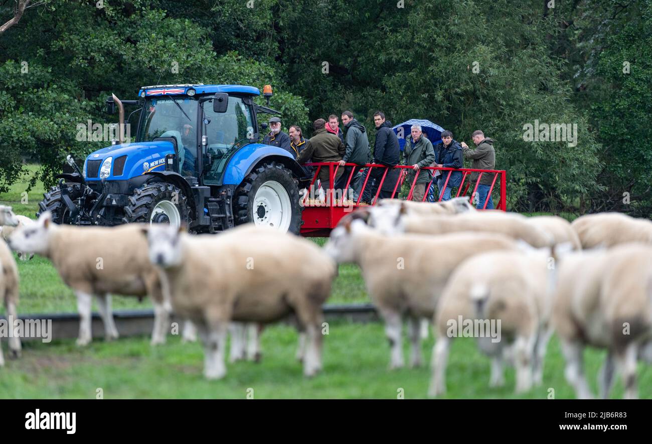 Tracteur équipé d'une remorque qui attire les visiteurs dans une ferme lors d'une visite de ferme, en regardant les moutons. Cheshire, Royaume-Uni. Banque D'Images