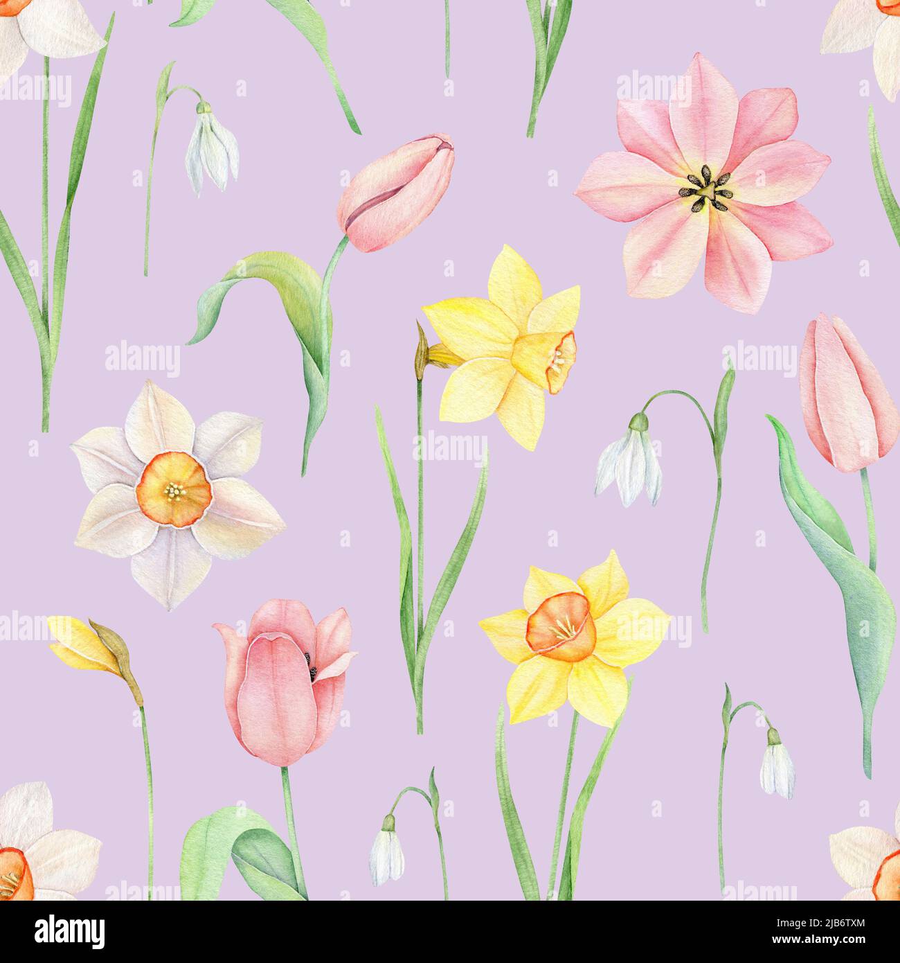 Motif fleuri sans coutures. Décoration tulipe aquarelle rose, joncelles jaune et blanc. Illustration du ressort tiré à la main pour le tissu, le papier d'emballage Banque D'Images