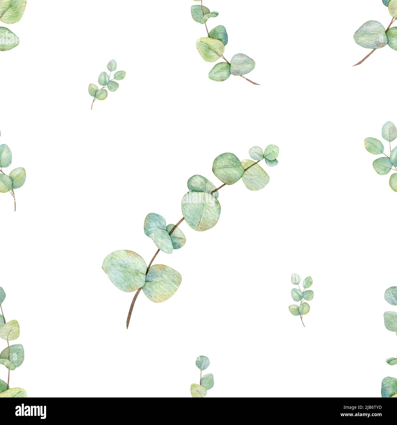 Motif eucalyptus sans coutures. Dessin à la main de vert aquarelle illustration pour le tissu, papier d'emballage de feuillage sur fond blanc Banque D'Images