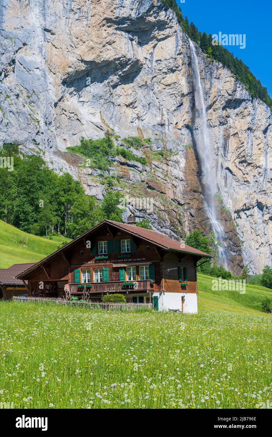 Maison de montagne suisse typique avec cascade de Staubbach, Lauterbrunnen, canton de Berne, Suisse Banque D'Images