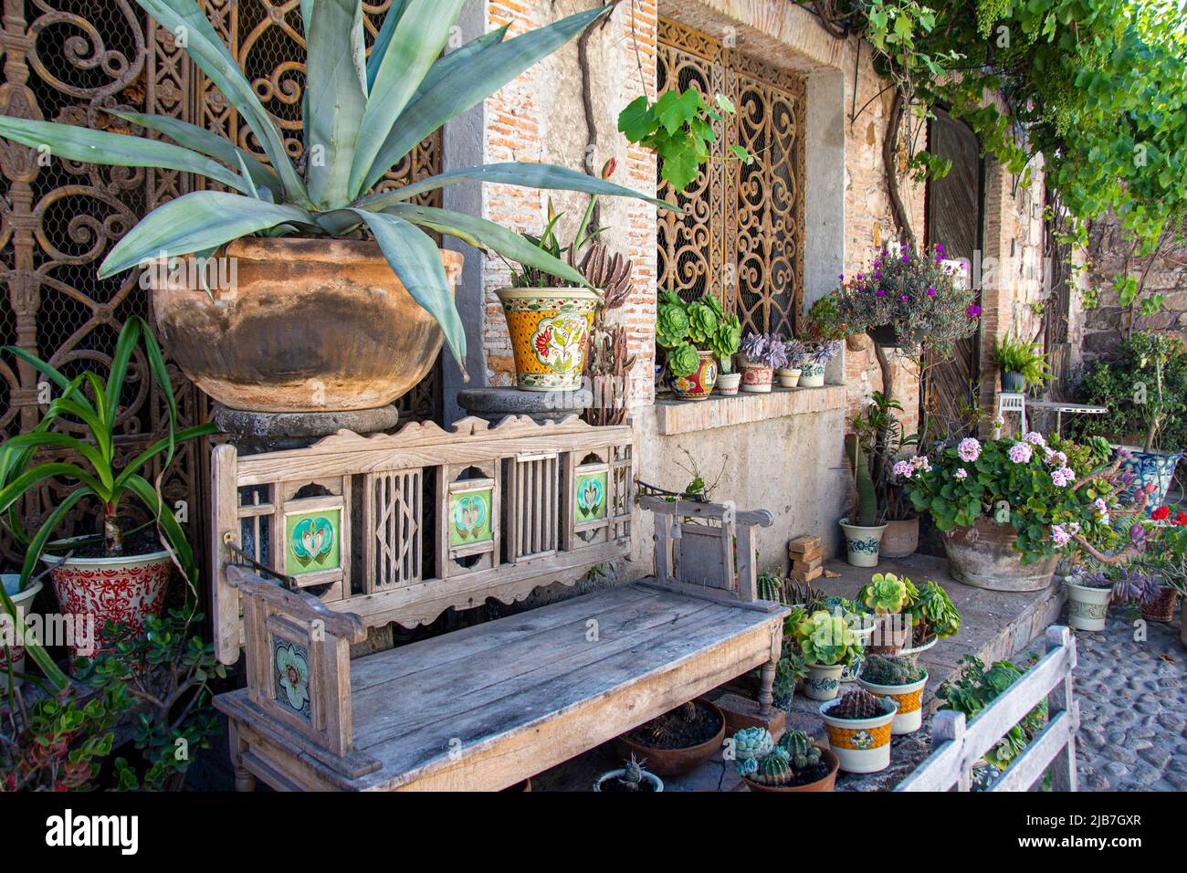 Un jardin de cactus décoré de pots en terre cuite et d'un banc de bois rustique, San Miguel de Allende, Mexique. Banque D'Images