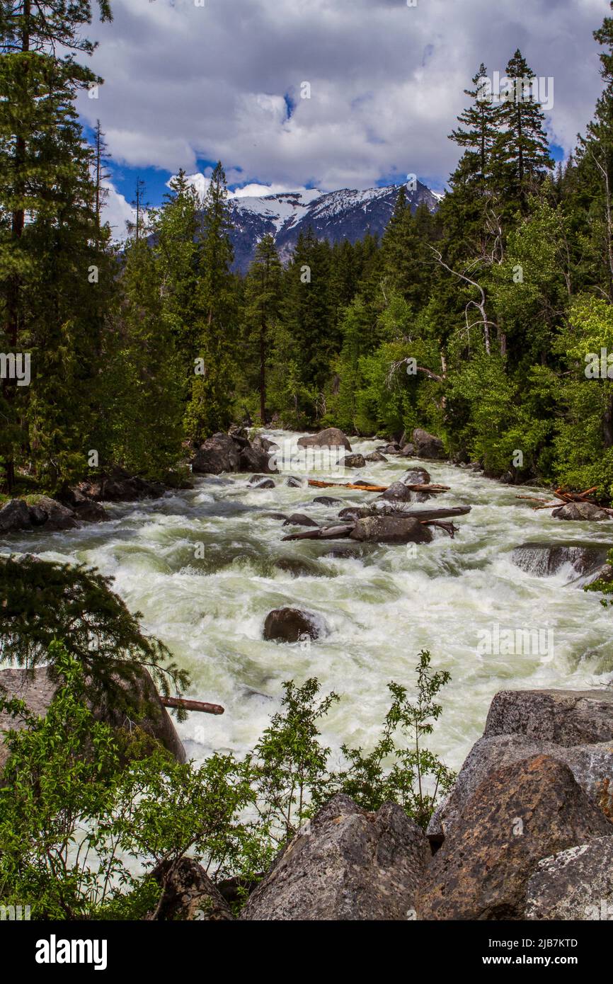 La ruée vers les eaux printanières de la pittoresque Icicle Creek, dans la gorge d'Icicle, près de Leavenworth, Washington, États-Unis, est une destination touristique populaire. Banque D'Images