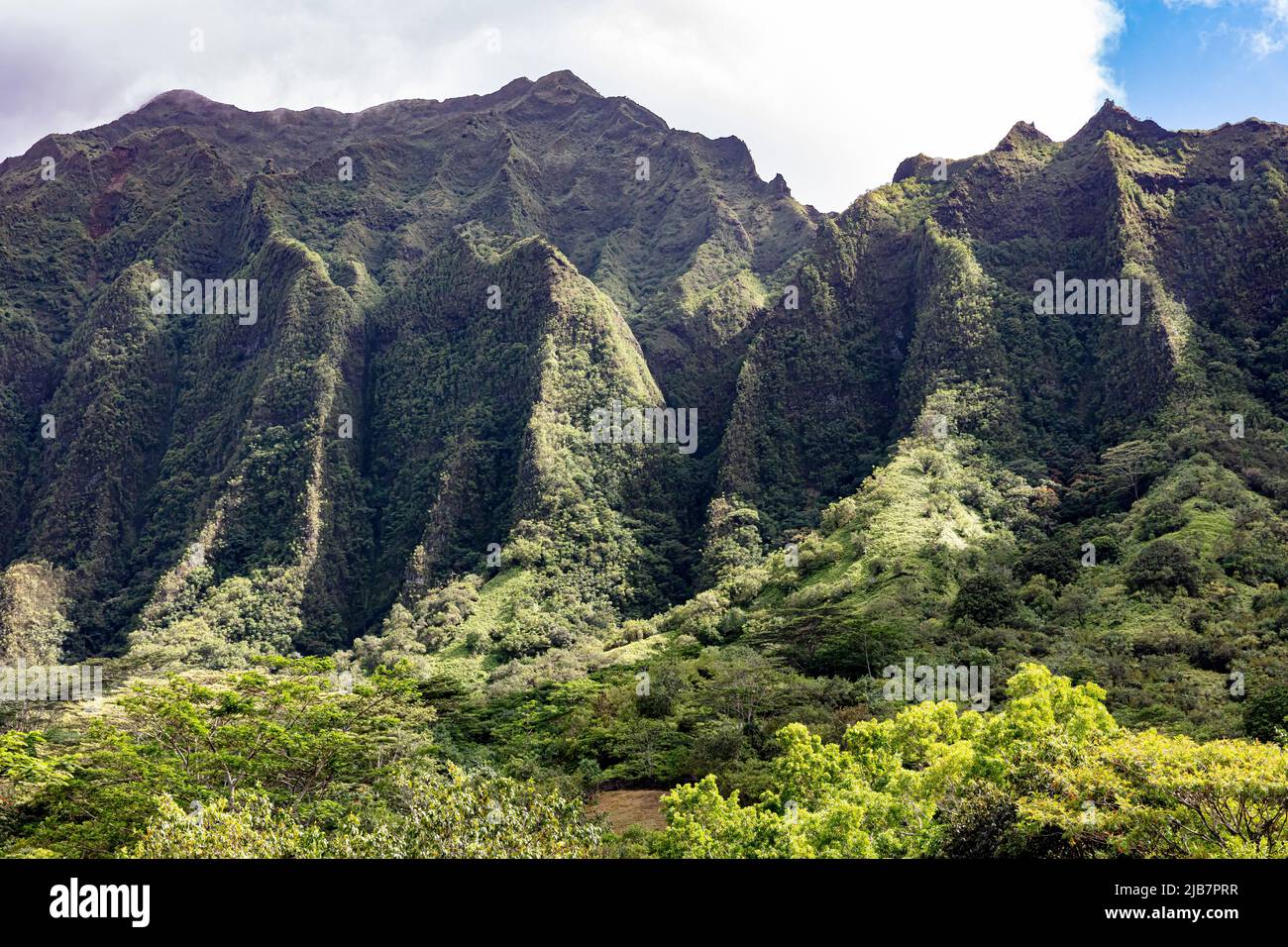 Montagnes volcaniques abruptes d'Oahu, Hawaï Banque D'Images