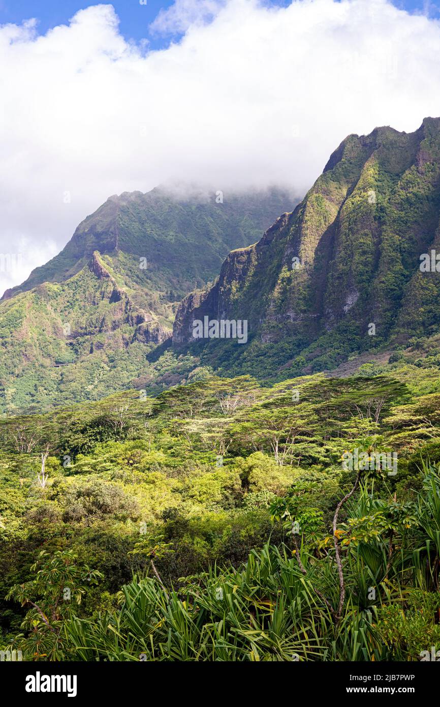 Vue sur les montagnes volcaniques abruptes d'Oahu depuis le jardin botanique de Ho'omaluhia, Hawaï Banque D'Images