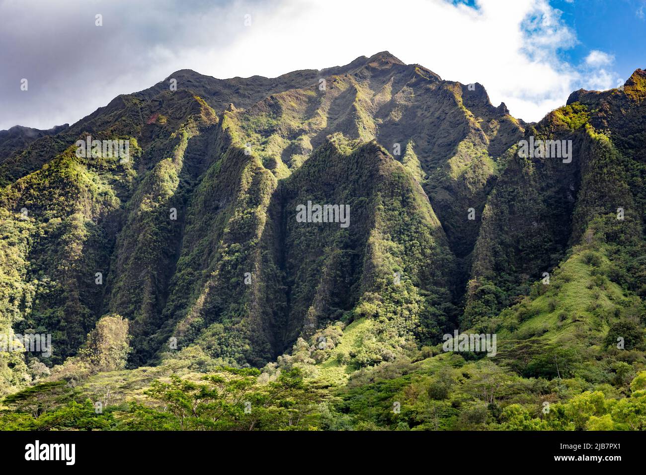 Vue sur les montagnes volcaniques abruptes d'Oahu depuis le jardin botanique de Ho'omaluhia, Hawaï Banque D'Images