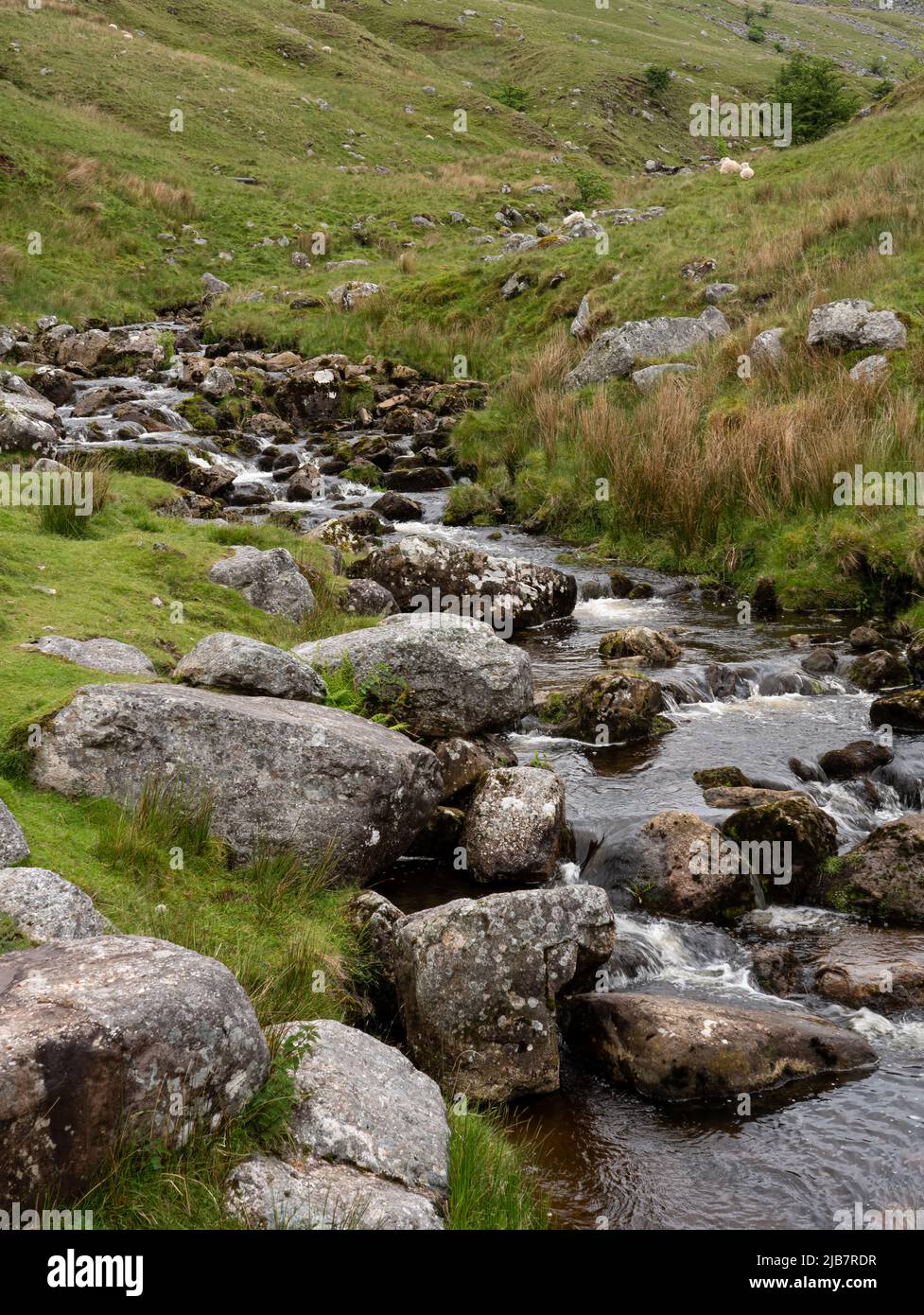 Les eaux de ruissellement s'écoulent sur des rochers et des rochers dans un col de montagne dans les Brecon Beacons, au sud du pays de Galles. Banque D'Images