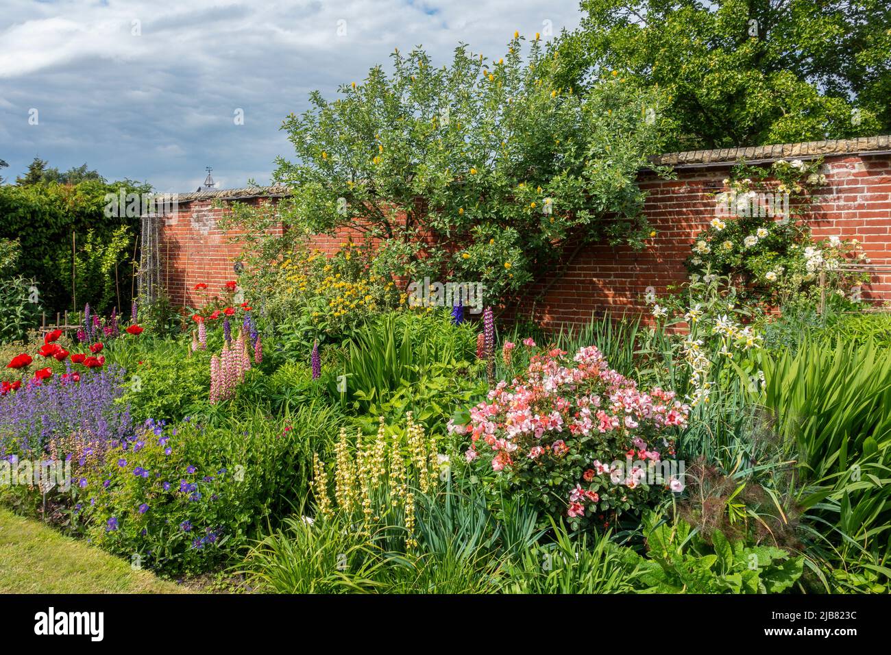 Herbacous Border, jardin clos, Mount Ephraim Gardens, Faversham, Kent, Angleterre Banque D'Images