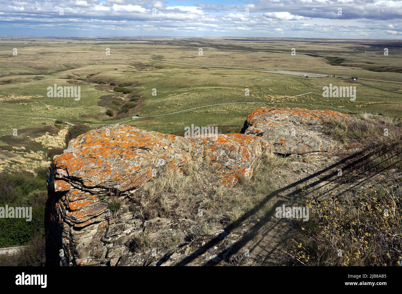 Tête écrasée dans le bisons bissextile, dans le sud de l'Alberta Banque D'Images