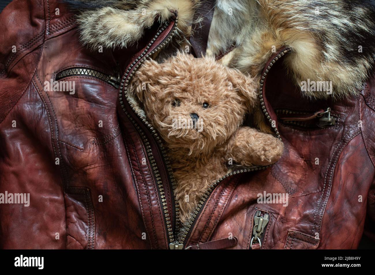 l'ours en peluche repose dans une veste d'hiver en fourrure, l'ours en  peluche pour l'arrière-plan Photo Stock - Alamy