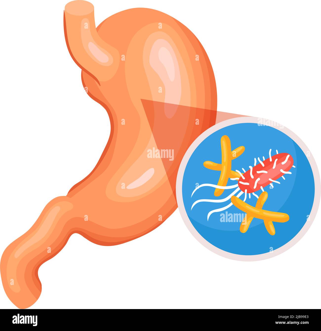 Composition en gastroentérologie isométrique avec image de l'estomac avec illustration du vecteur d'hélicobactéries Illustration de Vecteur