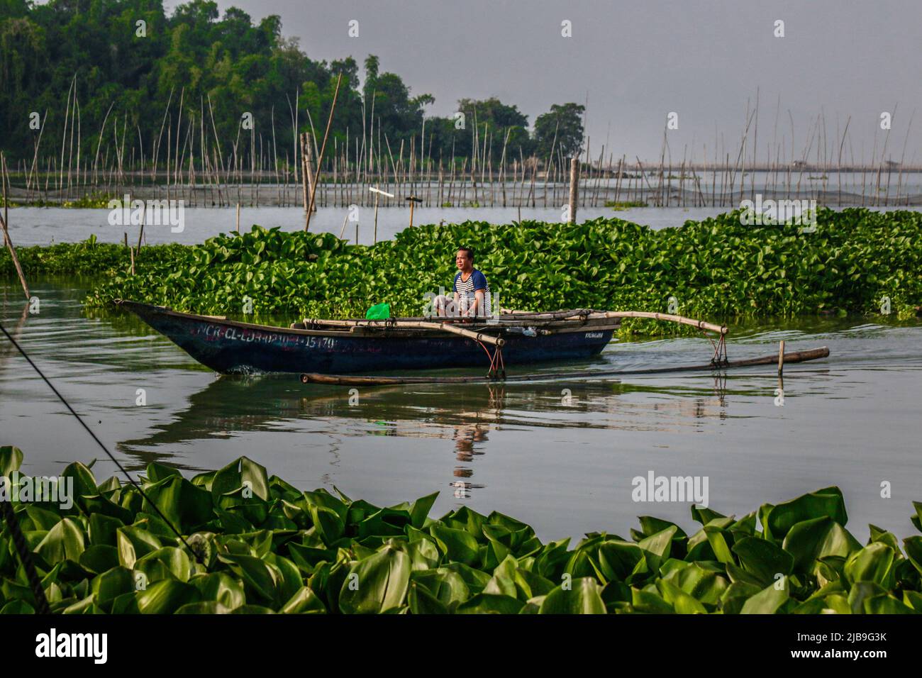 Binangonan, Philippines. 04th juin 2022. Un pêcheur lance son petit bateau entre des jacinthes d'eau flottantes. Le lac Laguna est le plus grand lac des Philippines, d'une superficie de 900 kilomètres carrés ou équivalente à 90 000 hectares. Son eau s'écoule de la province de Laguna jusqu'à la province de Rizal, la partie sud de Luzon. Le lac fournit des ressources comme le transport, les loisirs, les moyens de subsistance et surtout de la nourriture pour les communautés environnantes. Le lac Laguna est classé comme eau douce de classe C, qui a la capacité de cultiver des poissons et d'autres ressources aquatiques. Un peu d'aquarelle Banque D'Images