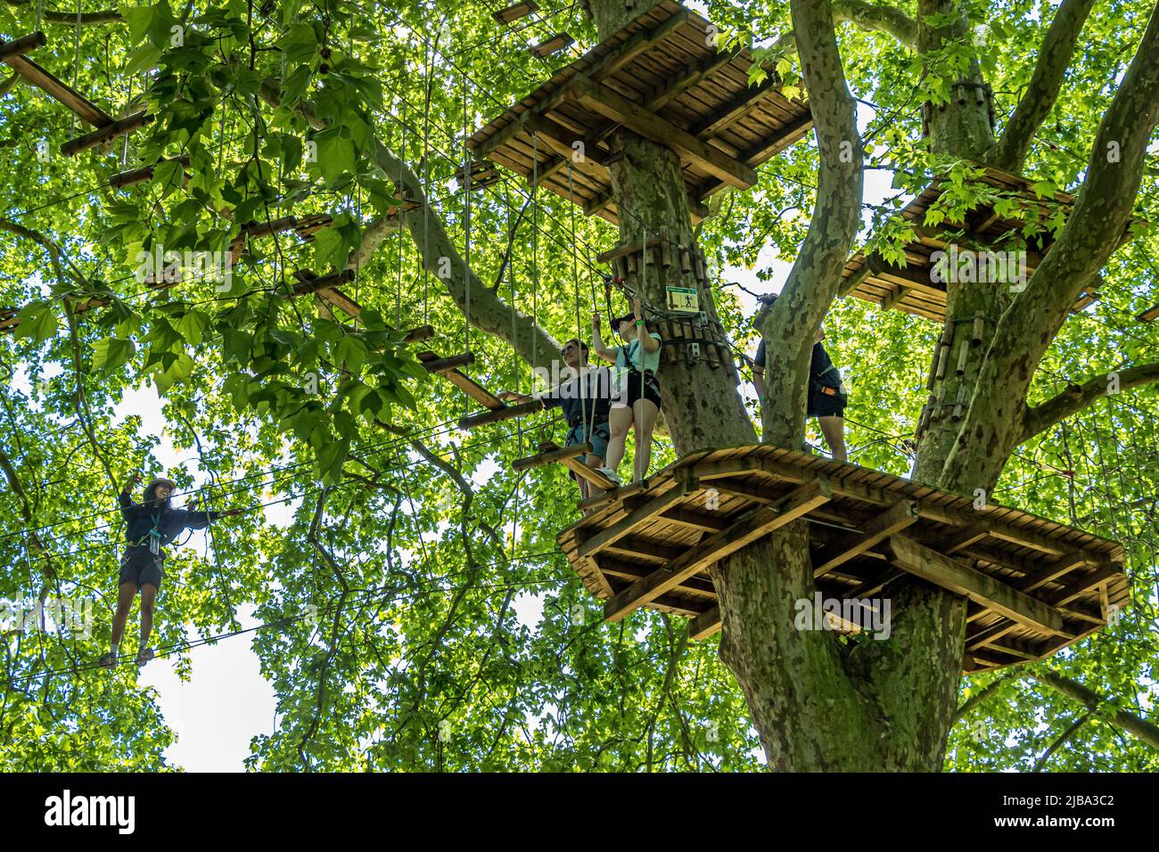 Les gens élevés dans les arbres en utilisant de hauts cordes à l'activité d'aventure en plein air au sommet des arbres vont APE à Battersea Park , Londres SW11, Royaume-Uni Banque D'Images