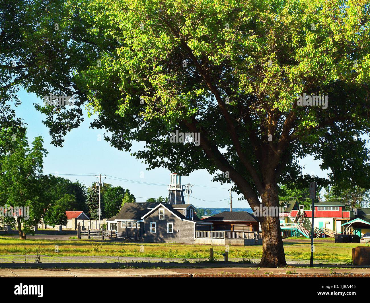 Magnifique arbre, avec vue sur le parc du lac Onondaga au loin Banque D'Images