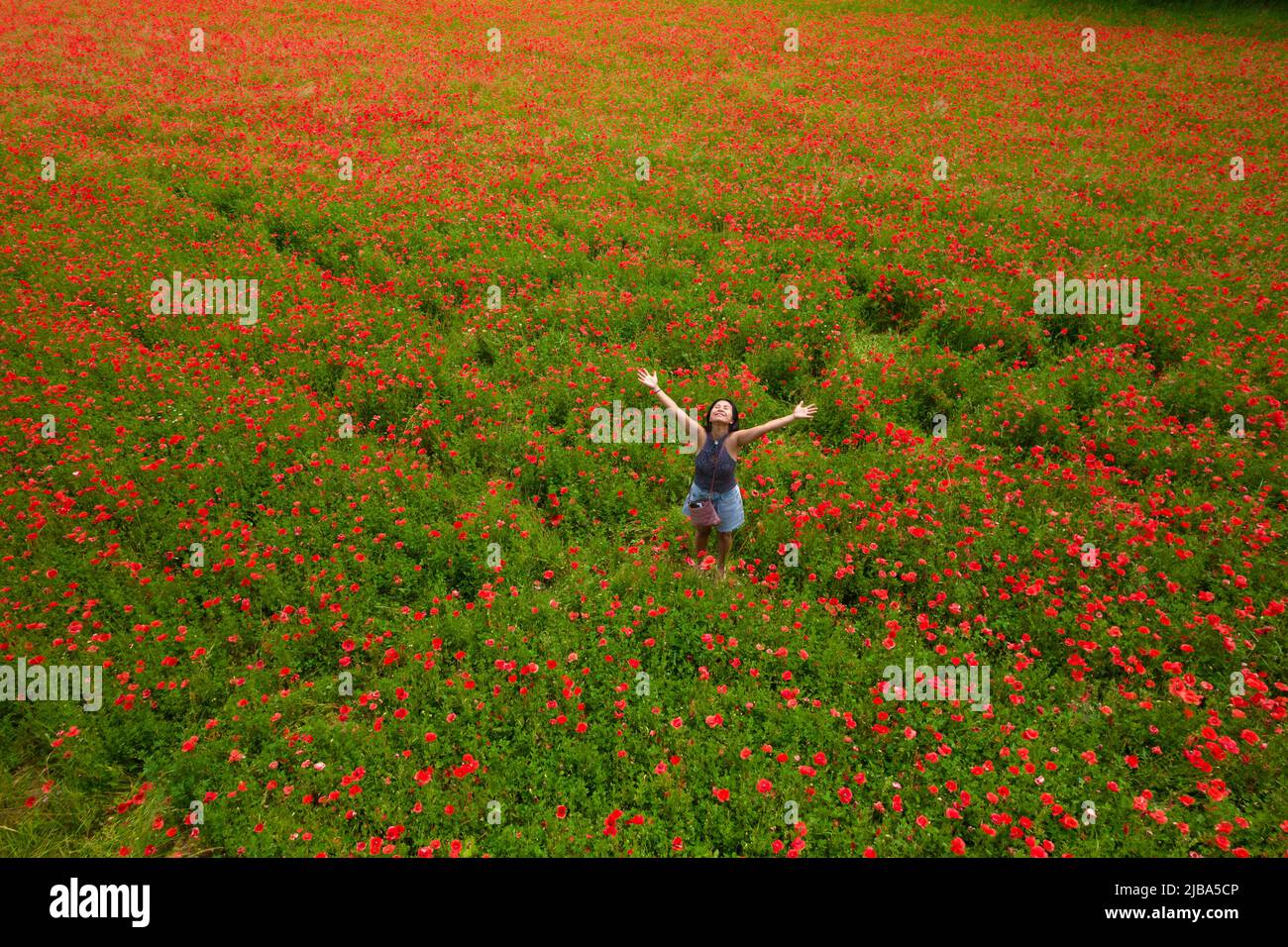 Photo aérienne d'une femme joyeuse debout dans un grand champ de pavot Banque D'Images