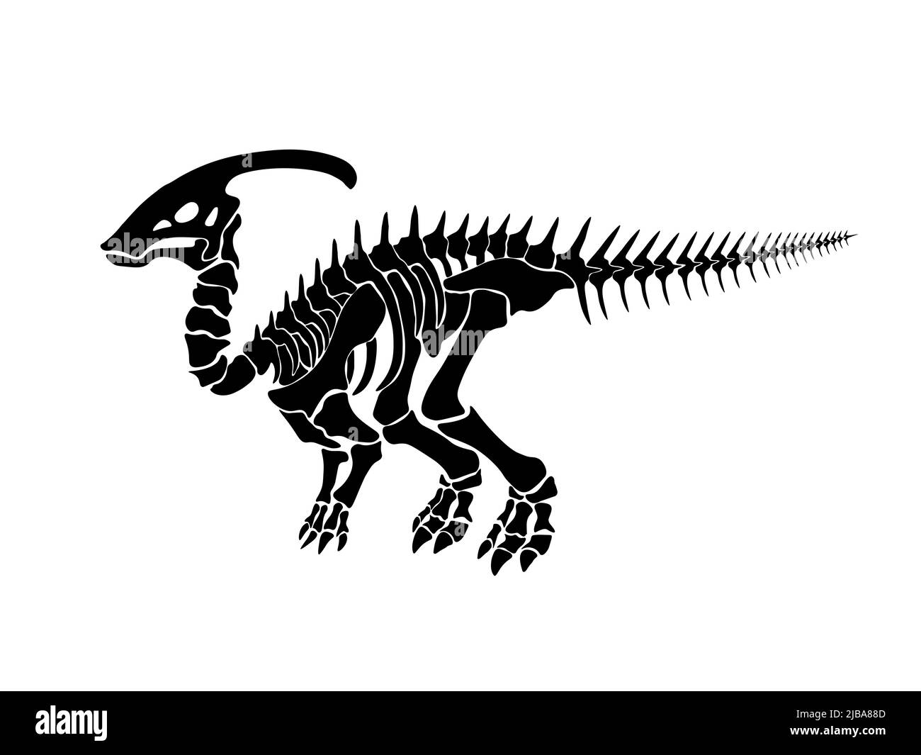 Illustration vectorielle avec squelette de dinosaure isolé sur fond blanc. Illustration de Vecteur