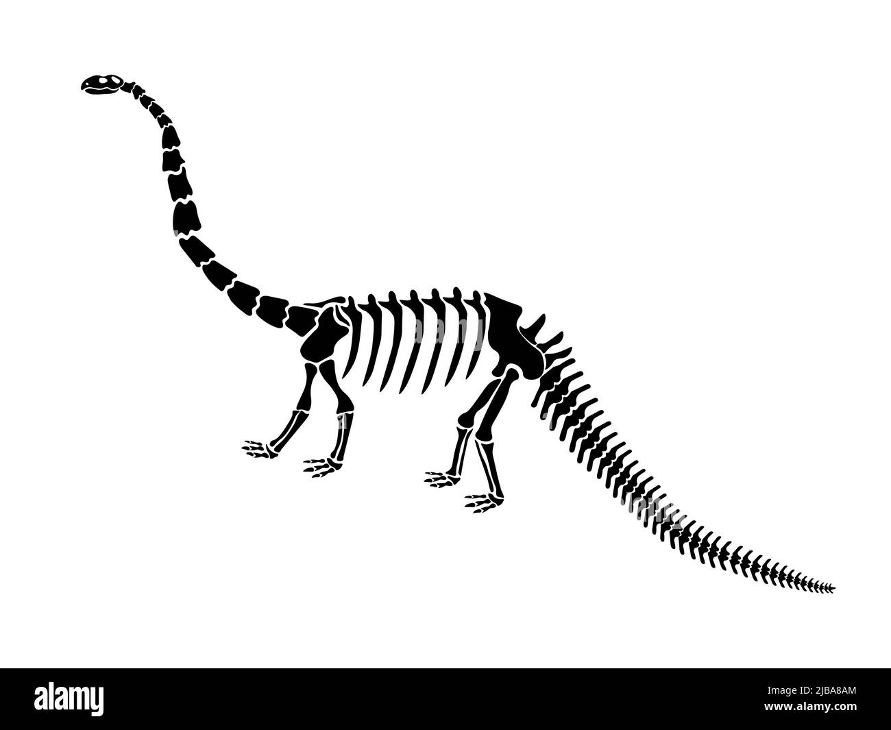 Illustration vectorielle avec squelette de dinosaure isolé sur fond blanc. Illustration de Vecteur