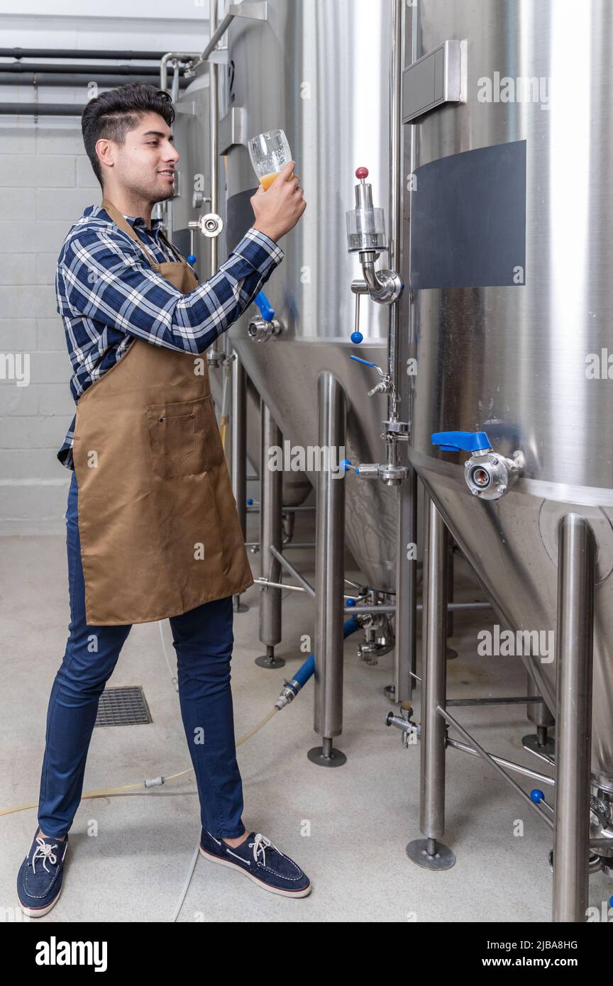 Brasseur de bière dans un tablier testant la bière à la brasserie. Photographie de haute qualité. Banque D'Images