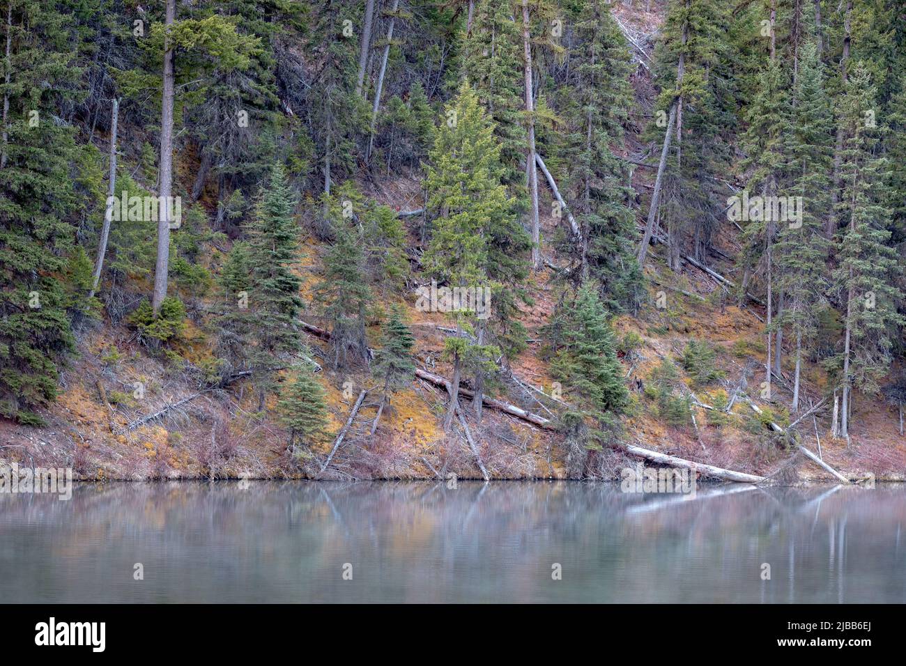 Matin de printemps tranquille à Beth Lake Okanogan National Forest Washington State USA Banque D'Images