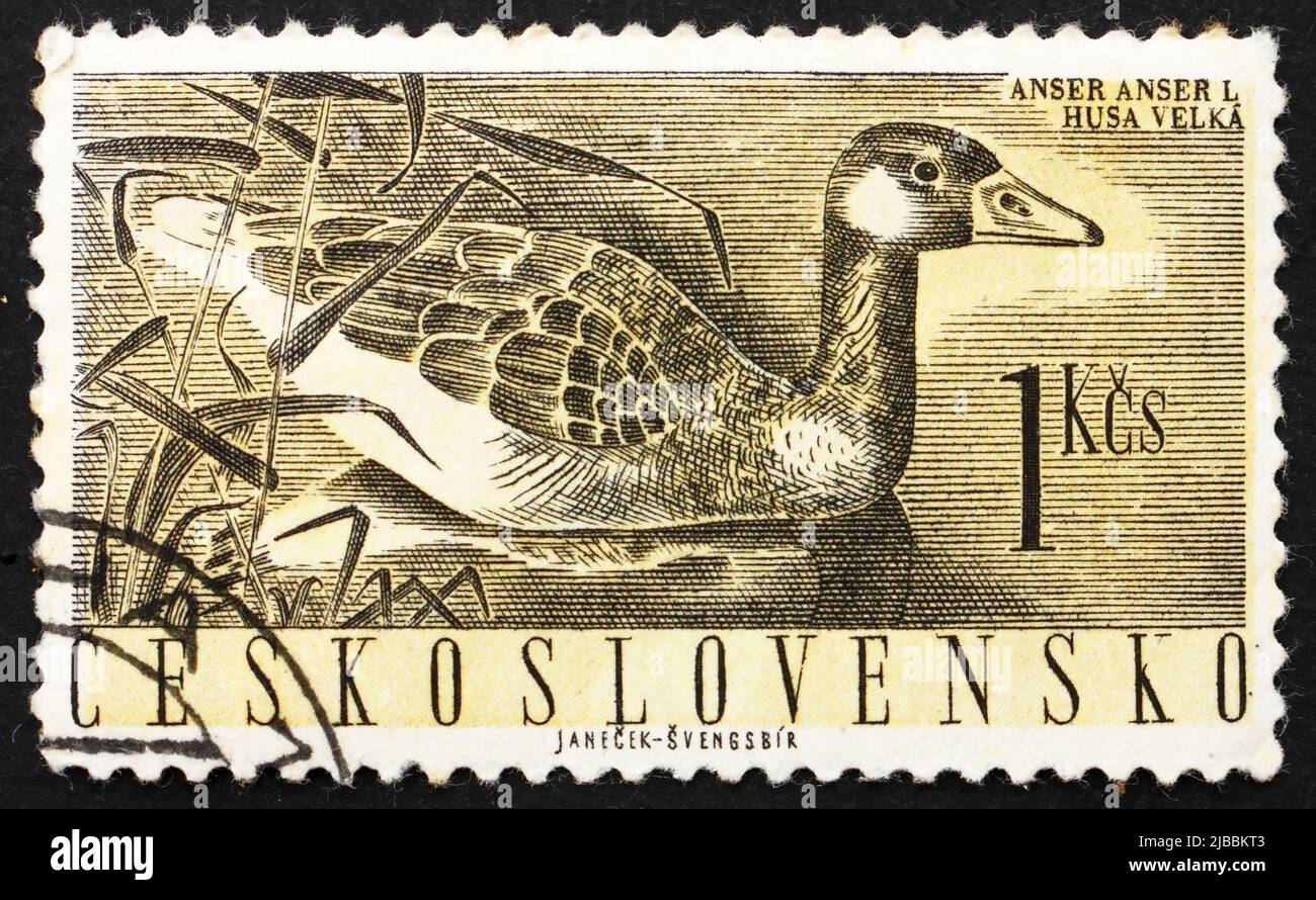 TCHÉCOSLOVAQUIE - VERS 1960: Un timbre imprimé en Tchécoslovaquie montre Graylag Goose, Anser Anser, Bird, vers 1960 Banque D'Images