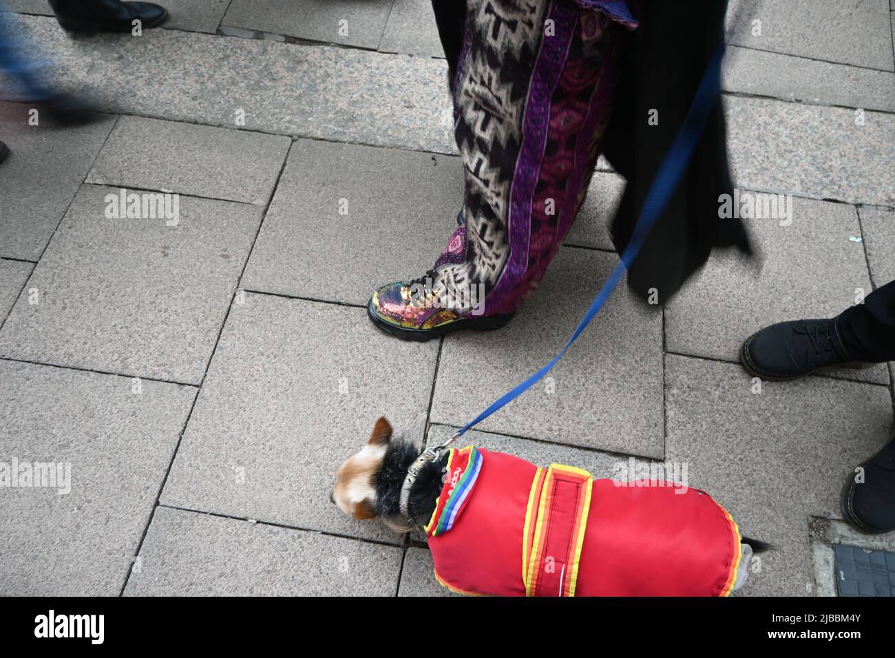 hippy marche avec chien, bury st edmunds, suffolk, Banque D'Images