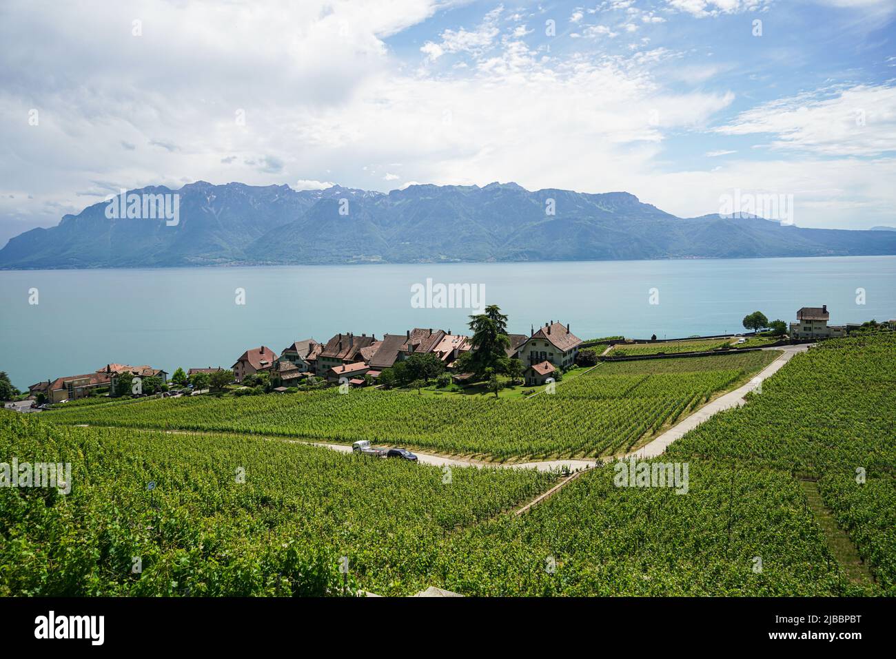 Lavaux, avec ses terrasses couvertes de vignobles surplombant le lac Léman, est l'une des régions viticoles les plus connues et les plus fascinantes de Suisse Banque D'Images