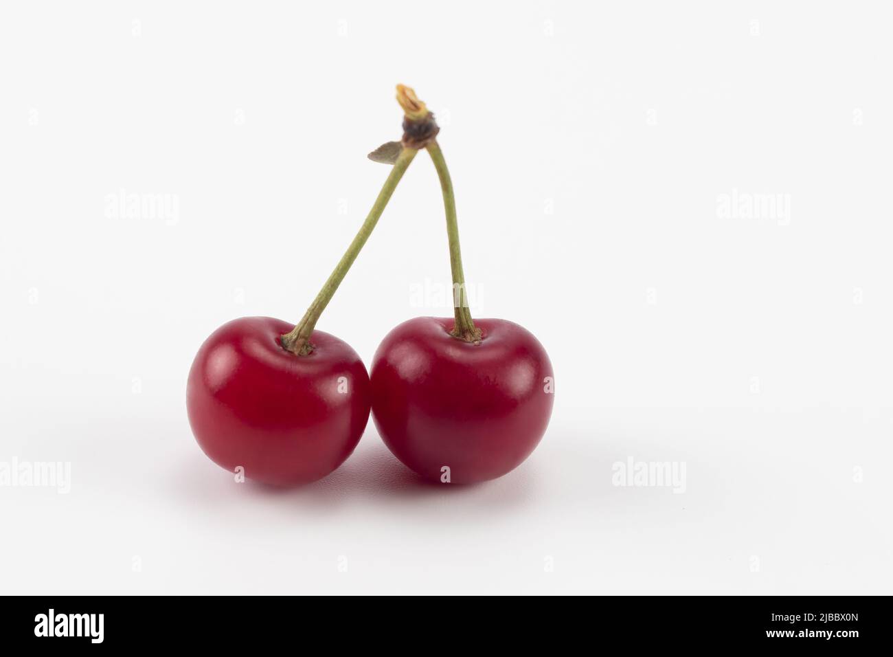 Deux cerises acides isolées sur fond blanc. Gros plan. Banque D'Images