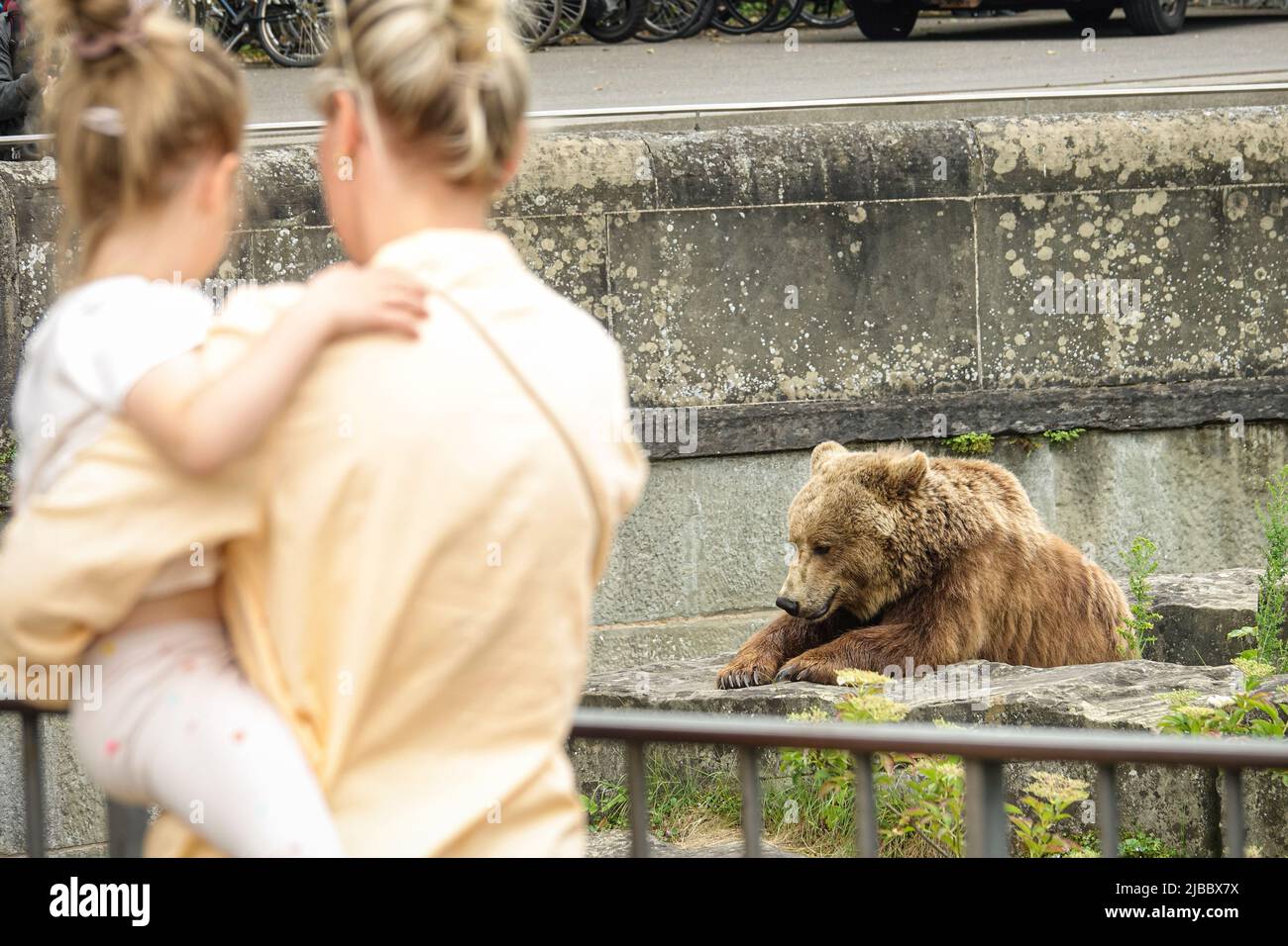Parc de l'ours de Berne. Le Bear Pit est l'une des destinations touristiques les plus populaires pour les enfants. Berne, Suisse - juin 2022 Banque D'Images
