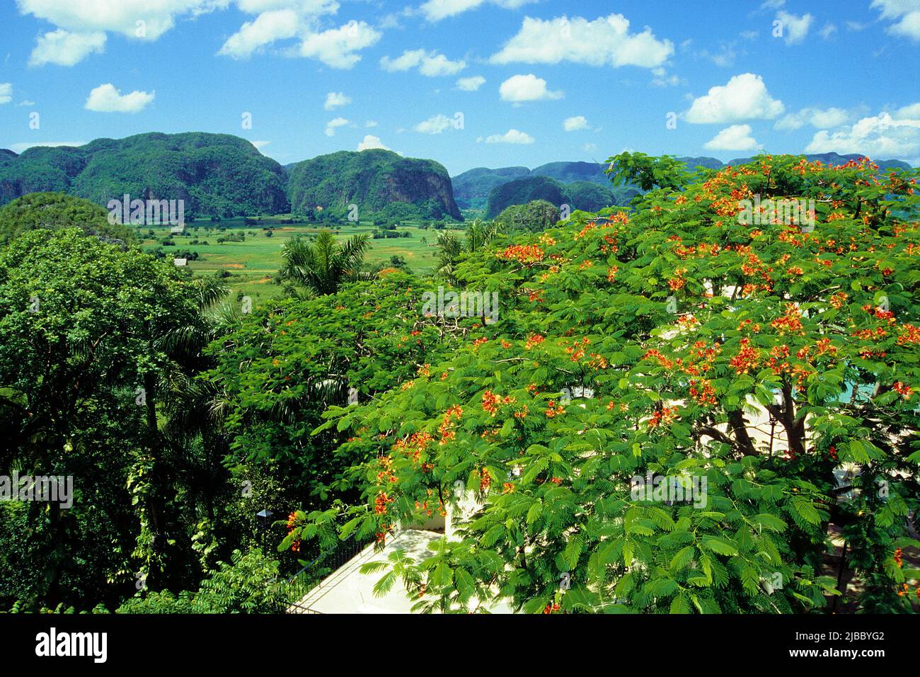 Valle de Vinales, beau paysage dans l'ouest de Cuba, Pinar del Rio, Habana, Cuba, Caraïbes Banque D'Images